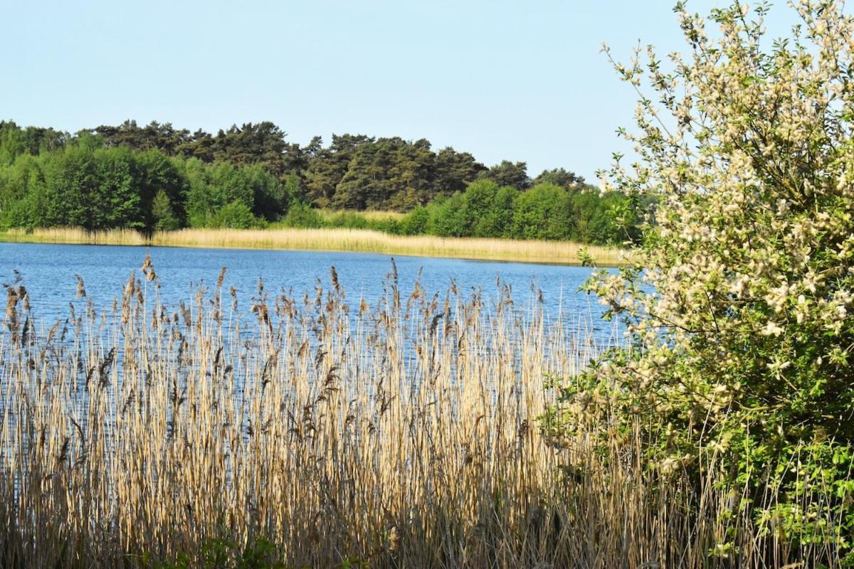 Exklusivt Boende Intill Skog, Naera Naturreservat Löddeköpinge Exterior foto