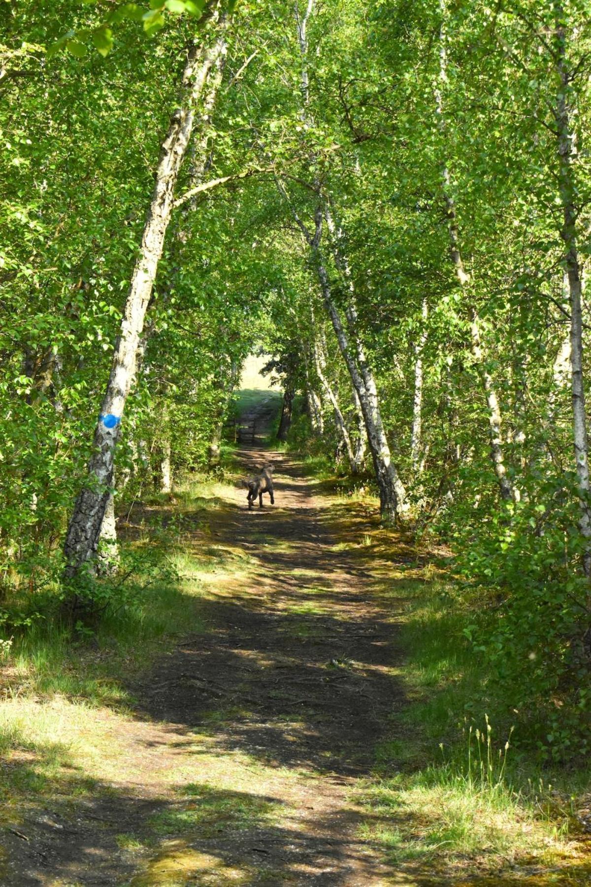 Exklusivt Boende Intill Skog, Naera Naturreservat Löddeköpinge Exterior foto