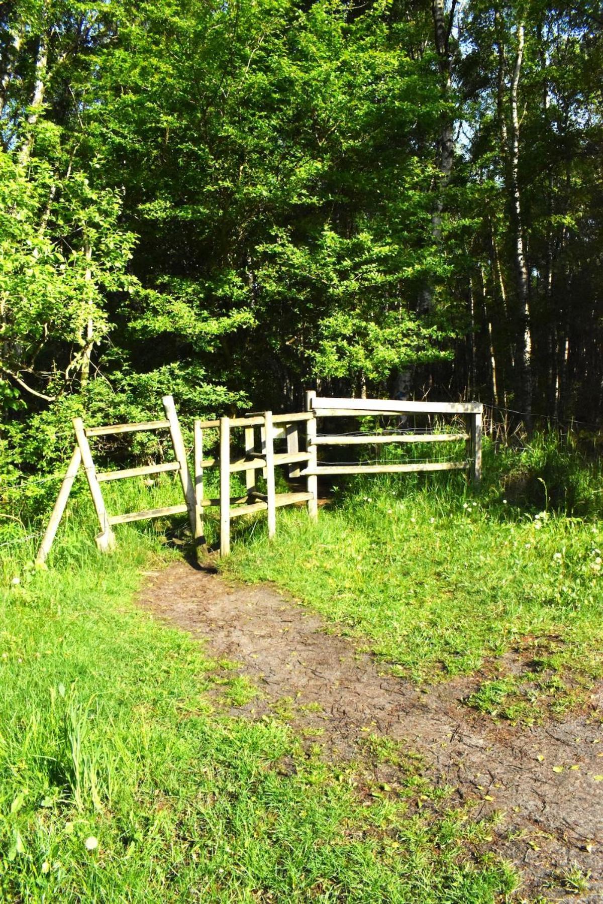 Exklusivt Boende Intill Skog, Naera Naturreservat Löddeköpinge Exterior foto